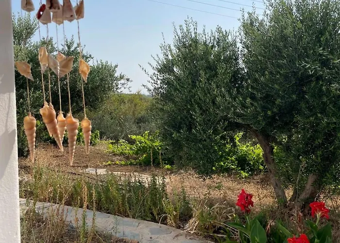 Gorgeous White Marsis In Paros *